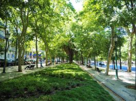 Avenida da Liberdade