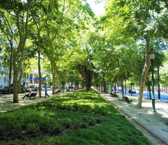 Avenida da Liberdade: a mais elegante de Lisboa Avenida da Liberdade