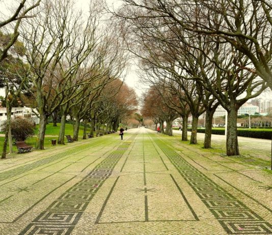 Inverno em Lisboa – dicas de viagem