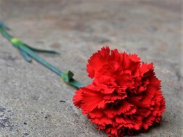 25 de Abril – o fim da Ditadura em Portugal